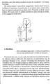 Książka harcerska Silni duchem