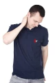 tom Arh1.jpg