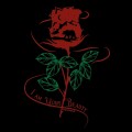 Koszulka damska: Beauty and the Beast
