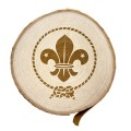 Krążek WOSM