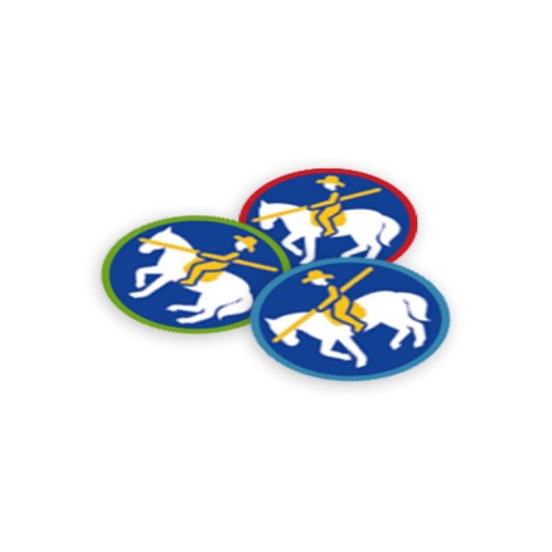 Sprawność harcerska Zawodnik/Zawodniczka working equitation
