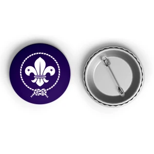 Przypinka WOSM