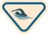 swimmer_1.png