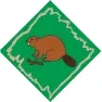 beaver.png