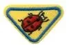 A_spr_ico_56.jpg.webp
