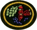 Small_Fruit_Growing_Honor-e1553090567594.png.webp
