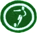 Futsal_AY_Honor.png.webp