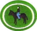 Jeździectwo-e1516865882985.png.webp
