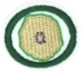 Cytology_AY_Honor.png.webp