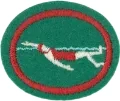 Intermediate_Swimming_AY_Honor.png.webp