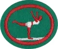 Physical_Fitness_AY_Honor.png.webp