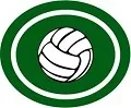 Rekreacja-Volleyball-Siatkówka-120.jpg.webp