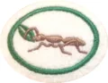 Ants_Honor.png.webp