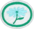Flowers_Honor.png.webp