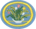 Flower_Arrangement.png