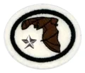 Bats_Advanced_AY_Honor.png.webp