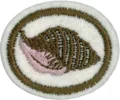 Shells_AY_Honor.png.webp