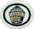 ptaki_domowe-120.png.webp