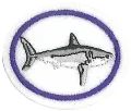 Sharks_AY_Honor.png.webp