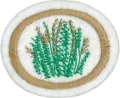 Grasses_Honor-e1525873386642.png.webp